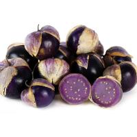 ราคา ต้นพันธุ์ โทงเทงฝรั่ง สีม่วง พร้อมปลูกในถุงดำ 29บาท เคพกูสเบอรี่ Purple Cape Gooseberry โทงเทงม่วง ระฆังทอง (26780919617)
