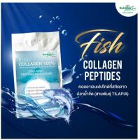 ราคา Fish Collagen Peptides100% ขนาด 1 KG จากปลาน้ำจืดแหล่งคอลลาเจนชั้นดี ดูดซึมเข้าสู่ร่างกายได้ดีกว่า (29908991865)