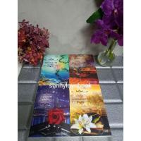 ราคา มาเฟียพันธะเถื่อน เหมืองสวาทมาเฟีย ทาสจำเลยมาเฟีย มาเฟียจอมเผด็จการ boxset (3648520179)