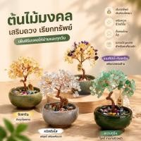 ราคา ต้นไม้ หินมงคล ต้นไม้หินนำโชคตั้งโต๊ะ เสริมฮวงจุ้ย ของแต่งบ้าน ของขวัญเสริมดวง เหมาะสำหรับเป็นของขวัญ (57661006352)