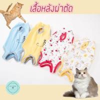 ราคา เสื้อหลังผ่าตัด เสื้อทำหมัน หมา แมว สุนัข Pet Recovery Suit (7940092087)