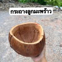 ราคา กระถางมะพร้าว กระถางจากลูกมะพร้าว เปลือกมะพร้าวแขวนต้นไม้ มะพร้าวครึ่งลูก กระถางต้นไม้ กระถางปลูกกล้วยไม้ (27534151616)