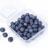 ราคา พร้อมส่ง‼️125g บลูเบอร์รี่สด นำเข้า Blueberry (เน้นส่งล็อตใหม่) (51653873853)