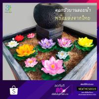 ราคา ✴️งานไทย ส่งออก ส่งห้าง ดอกบัวลอยน้ำ เสริมฮวงจุ้ย พร็อพถ่ายรูป แต่งบ้าน ร้าน สวน สปา ดอกบัวปลอมลอยน้ำ ดอกบัว ดอกบัวปลอม (7125451702)