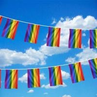 ราคา ธงราวสีรุ้ง ธงราว สีรุ้ง สายรุ้ง ธงหลากสี ธง ธงสีรุ้ง Rainbow LGBT PRIDE Pendant Pennant Bunting String Flag Flags (8661340260)