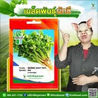 ราคา พันธุ์ผัก ผักชี ฉัตรทิพย์ ซีดไลน์ คุณภาพดี แตกกอดี ใบใหญ่ ผลผลิตดี ยืดเวลาเก็บได้ 2 ซอง คูลเกษตร Kj02 (55804128818)