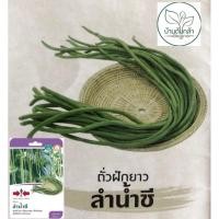 ราคา เมล็ดพันธุ์ถั่วฝักยาว ลำน้ำชี (East-West Seed) เมล็ดพันธุ์ผัก เมล็ดพันธุ์ ผักสวนครัว ตราศรแดง (20202066732)