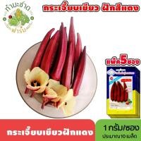 ราคา [แพ็ค 5 ซอง] 3A เมล็ดพันธุ์ กระเจี๊ยบเขียวฝักแดง ขนาดซองละ1กรัม ประมาณ10เมล็ด/ซอง RED OKRA กระเจี๊ยบมอญ มะเขือละโว้ (6737540928)