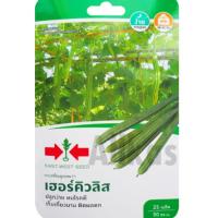 ราคา เมล็ดพันธ์ บวบเหลี่ยมเฮอร์คิวลิส ตราศรแดง (25283160097)