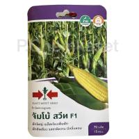 ราคา ข้าวโพดหวาน จัมโบ้สวีท ตราศรแดง ข้าวโพดหวานลูกผสม F1 (21703059978)