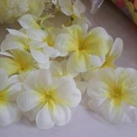 ราคา ดอกลีลาวดี หัวดอกลีลาวดีสีขาวกลางเหลือง 1ถุง50ดอก (29352247506)