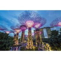 ราคา ส่งฟรี!!! บัตรการ์เด้นบายเดอะเบย์ (บัตรผู้ใหญ่ / บัตรจริง) Garden by The Bay (ทักแชตก่อนสั่งซื้อ) (6310395144)