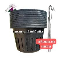 ราคา กระถางกล้วยไม้8นิ้ว ชุด10ใบ พร้อมลวดแขวน (57909369477)