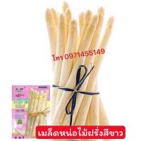 ราคา เมล็ดหน่อไม้ฝรั่ง / หน่อไม้ฝรั่งขาว เมล็ดหน่อไม้ฝรั่ง (12065573099)