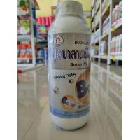 ราคา ดูโอบาลานซ์โบรอน ตราหญิงงาม (22166823615)