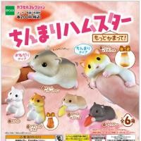 ราคา [Gachapon] กาชาปองหนูแฮมเตอร์ ของแท้ มือ 1 (1347978576)