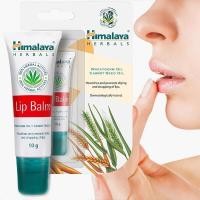 ราคา Himalaya Lip Balm 10g หิมาลายา ลิปบาล์มบำรุงริมฝีปาก ฟื้นฟูริมฝีปาก อุดมไปด้วยวิตามินอีและส่วนผสมจากธรรมชาติ (29928953145)