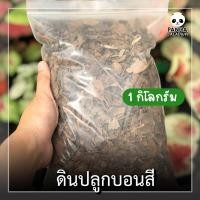 ราคา ดินปลูกบอนสี 1 กิโลกรัม ดินพร้อมปลูก ใบก้ามปู ใบมะขาม ปลูกบอนสี (23615317312)