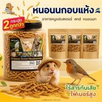 ราคา หนอนนกอบแห้ง หนอนอาหาร 1300ML โปรตีนสูง หนอนอบแห้ง สำหรับแฮมสเตอร์ เม่น กระรอก นก | Dried Mealworms (46160111494)