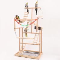 ราคา Nooke Pets XL Bird Play Gym สนามเด็กเล่นไม้หลายชั้นขนาดใหญ่พิเศษสําหรับนกค๊อกคาเทลคอนัวร์ (51604706654)