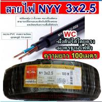 ราคา สายไฟฝั่งดิน ฝังดินโดยตรง NYY 3*2.5 ตัดแบ่งยาว 100 เมตร เบอร์ 2.5 มาตรฐานการไฟฟ้า ป้องกันความชี่น สายไฟกันน้ำ (25869259842)