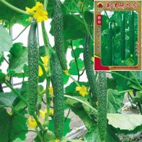 ราคา เมล็ดแตงกวาญี่ปุ่น 60เมล็ด สินค้าแบ่งบรรจุ Japanese Cucumber เมล็ดนำเข้า พันธุ์แท้100% (10710717292)