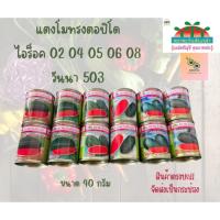 ราคา เมล็ดแตงโมทรงตอปิโด ขนาด 40 กรัม ไฮร็อค วันนา (24888893229)