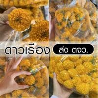 ราคา [ส่งตจว.] ดอกดาวเรือง สด พวงมาลัยดาวเรือง (แพ็ค 20/50/100 ดอก) | ดอกไม้สด ดอกไม้มงคล ไหว้เชงเม้ง มาลัย บำบุญ ไหว้พระ (57807320409)