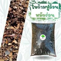 ราคา ใบก้ามปูหมักร่อน ใบก้ามปูล้วน 100% (16829996874)