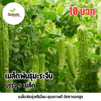 ราคา เมล็ดพันธุ์มะระจีน บรรจุ 5 เมล็ด/ซอง (42458143098)