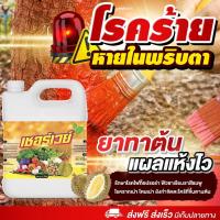 ราคา โรคร้าย หายในพริบตา ยาทาต้น แผลแห้งไว รักษาโรคไฟท็อปรอร่า ฟิวซาเรียมราสีชมพู โรครากเน่า โคนเน่า ยังกำจัดตะไคร้ (49005435311)