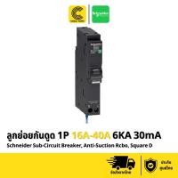 ราคา Schneider ลูกย่อยเซอร์กิตเบรกเกอร์กันดูดRCBOสแควร์ดี(QO116C06RCBO30-QO140C06RCBO30)ของแท้ มี มอก. ประกัน1ปี (CABLE WORK) (57202517352)