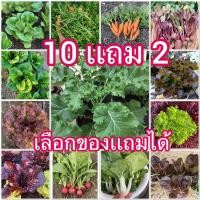 ราคา เมล็ดผักสลัดหลากชนิด 10เเถม 2คละได้ทั้งร้าน (11205808049)