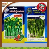 ราคา เมล็ดพันธุ์ ผักกาดกวางตุ้ง กวางตุ้งดอกฮ่องกง ต้นอวบ 3A (แบบซอง) เมล็ดกวางตุ้งเขียวหมื่นปี เมล็ดพันธุ์ผักซอง ตรากำไลทอง (23123351579)