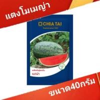 ราคา เมล็ดพันธุ์แตงโม เมญ่า ตราเจียไต๋ ขนาด 40 กรัม(1,000 เมล็ด) (48051094176)