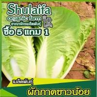 ราคา 3แถม1เมล็ดพันธุ์ผักกาดขาวน้อย เบบี้ 200เมล็ด เมล็ดพันธุ์ผักกาดขาว เมล็ดผักกาดขาวปลี เมล็ดผักสวนครัว (23317383849)