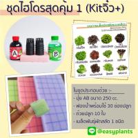 ราคา ชุดปลูกผัก สลัด ไฮโดรโปนิกส์ DIY สุดคุ้ม (Kit จิ๋ว Plus) (6041127901)