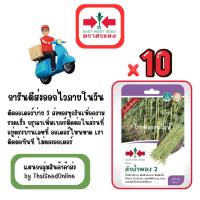 ราคา GG x 10 เมล็ดผักซองศรแดง ลำน้ำพอง ถั่วฝักยาว สินค้ายกแพ็ค (26139647583)