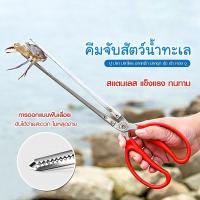 ราคา (ส่งจากไทย) คีมจับ ปู ปลา ที่คีปปลาไหล คีมจับสัตว์น้ำ กรรไกรสแตนเลสคีปปู (56861474488)