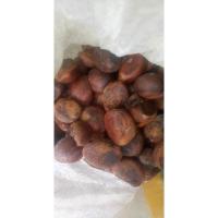 ราคา เม็ดทุเรียนป่าเก็บใหม่ปีนี้เหมาะสำหรับเสริมราก (26752403481)