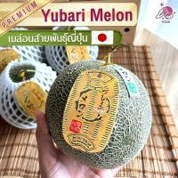 ราคา เมล่อนญี่ปุ่น 1 ลูก เมล่อนพร้อมกล่องเกรดพรีเมี่ยม เมล่อนเนื้อหวานฉ่ำ นำเข้าจากฮอกไกโด เมล่อนญี่ปุ่นสด (18268721824)