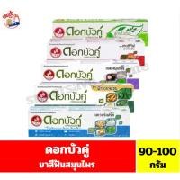 ราคา ดอกบัวคู่ ยาสีฟันสมุนไพร ขนาด 90-100 กรัม (50609506444)