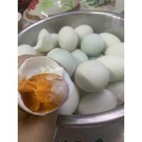ราคา ไข่เค็มโฮมเมด ปลอดสาร ไข่เค็มต้มสุก ไข่ขาวเค็มน้อย ไข่เค็มมันอร่อย ไข่เป็ดเลี้ยงเอง ด้วยสมุนไพรสวนลาดกระบัง แพค 6 ฟอง (14038826771)