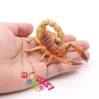 ราคา Monkey Toys - โมเดลแมลง Scorpion แมงป่อง ทอง ขนาด 9.00 CM (จากหาดใหญ่) (16698056913)