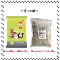 ราคา GreenVetz Alfalfa Hay / SmartHeartAlfalfa Hay หญ้ารสชาติหวานนุ่มหญ้าอัลฟาฟ่า เพื่อกระต่าย (46954085695)