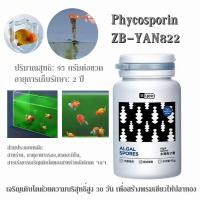 ราคา Phycosporin สาหร่ายมอสเขียวอายุยืนอาหารจัดสวนตู้ปลา ลดปัญหาน้ำเขียวทำให้ปลาสีสันสดใสขึ้น สำหรับปลาทองและปลารันชู (40018053052)