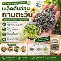 ราคา เมล็ดต้นอ่อนทานตะวันงอก เมล็ดพันธุ์ทานตะวัน เมล็ดทานตะวัน (sunflower sprout seed) (1450530706)