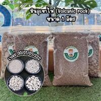 ราคา หินภูเขาไฟ(Volcanic rock) เบอร์ 00/01/02/SSS (1 ลิตร) ช.รุ่งเรืองการเกษตร #หินภูเขาไฟ (52801307842)