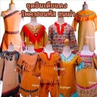 ราคา ชุดแฟนซีเด็ก ชุดอินเดียแดง ชุดชนเผ่า ชุดคาวบอย มือสอง (18371948848)