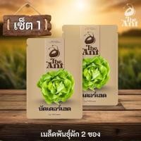 ราคา (ซื้อ1แถม1) เมล็ดพันธุ์บัตเตอร์เฮด พร้อมชุดปลูกผัก เมล็ดพันธุ์ออร์แกนิค เมล็ดพันธุ์หายาก ปลูกผักเอง สวนผัก (57106958610)